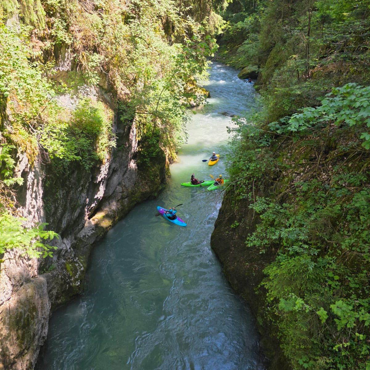 Paddeln auf der Saane Kajakfahrer paddeln durch eine enge, grüne Schlucht mit klarem Wasser.