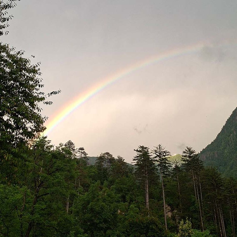 Ein Regenbogen spannt sich über einen bewaldeten Berglandschaft.
